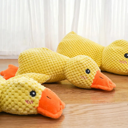 Jouet en peluche sonore en forme de canard pour chien