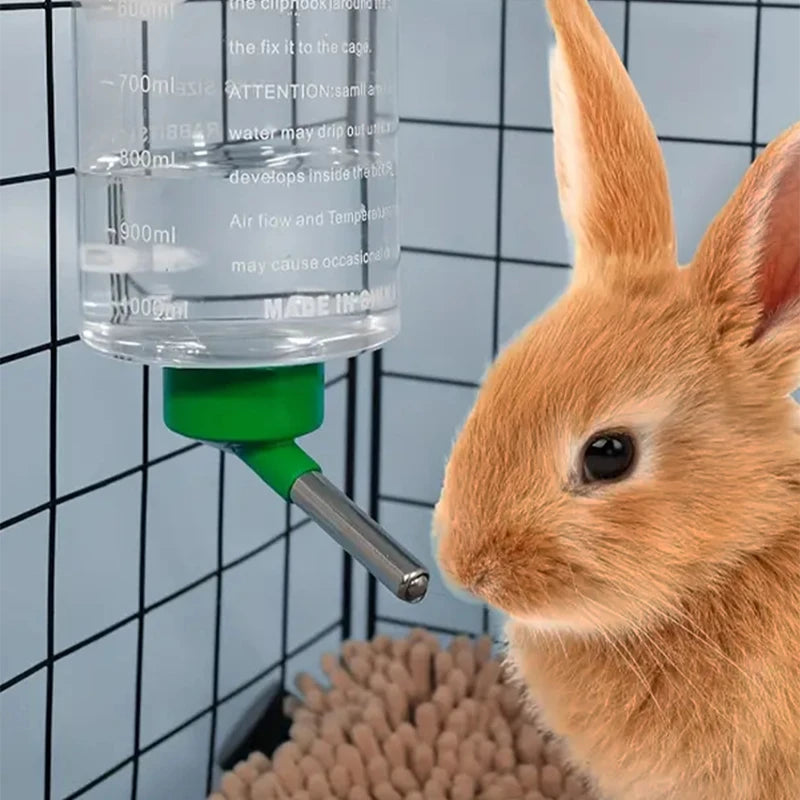 Bouteille d'eau à suspendre pour petits animaux 1000ml