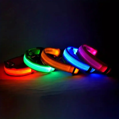 Collier pour chien avec LED