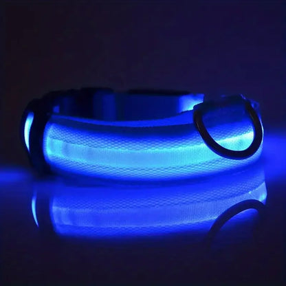 Collier pour chien avec LED