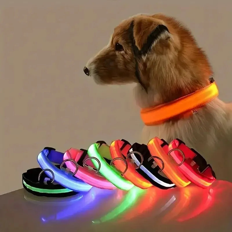 Collier pour chien avec LED