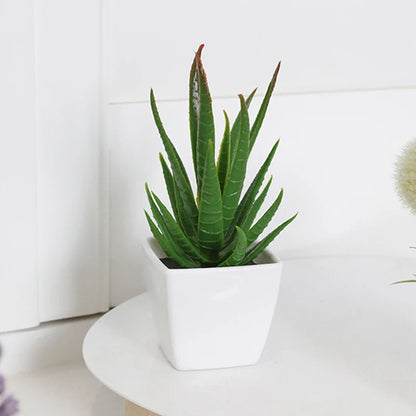 Fausses plantes décoratives - diverses modèles