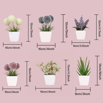 Fausses plantes décoratives - diverses modèles