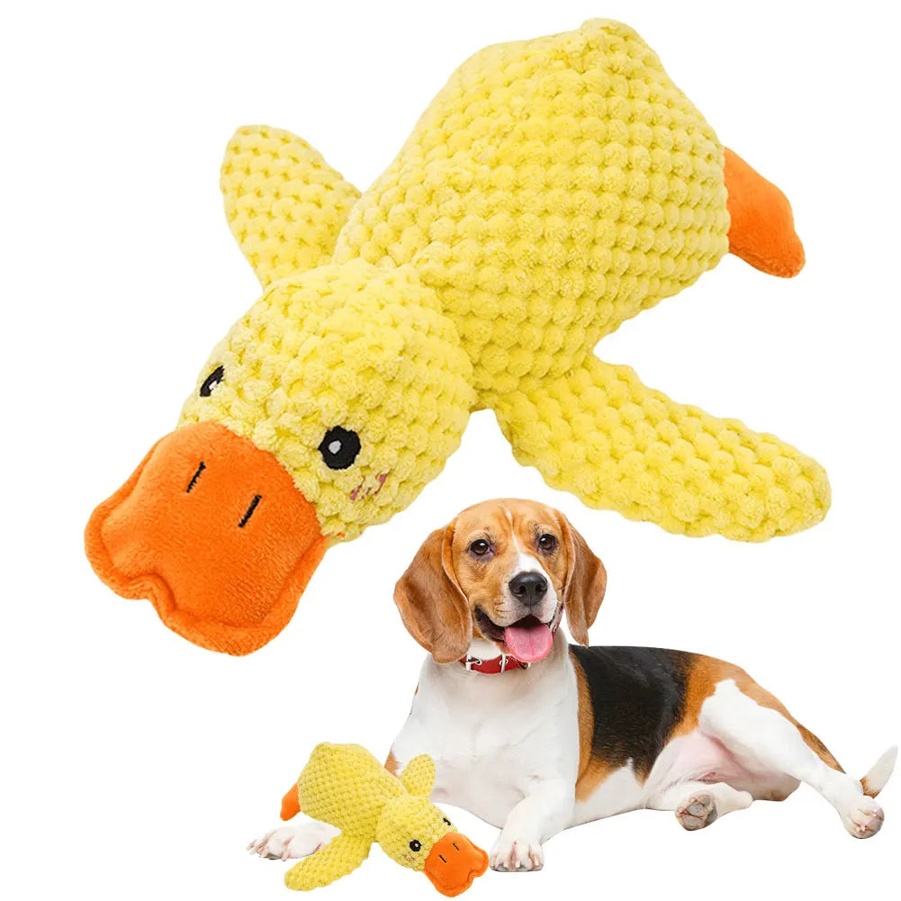 Jouet en peluche sonore en forme de canard pour chien