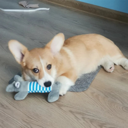 Jouet en peluche sonore en forme d'animaux pour chien