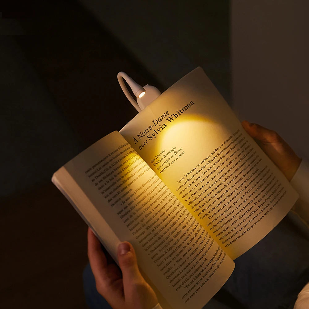 Lampe de lecture portable