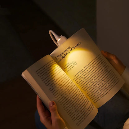 Lampe de lecture portable