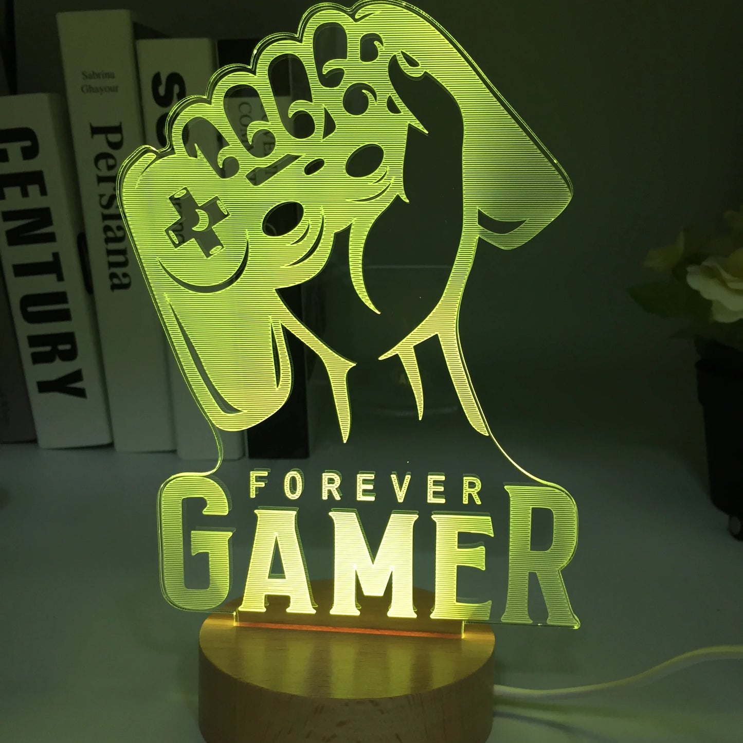 Forever Gamer 3D LED 7 couleurs