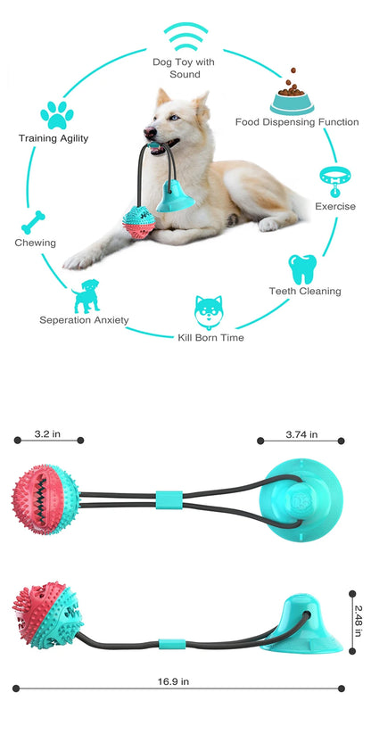 Jouet interactif d'entrainement pour chien