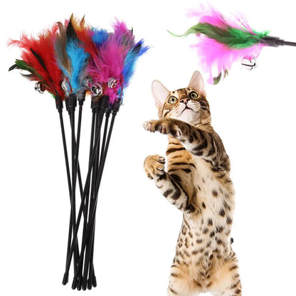 Jouet en plumes pour chat 28cm/50cm