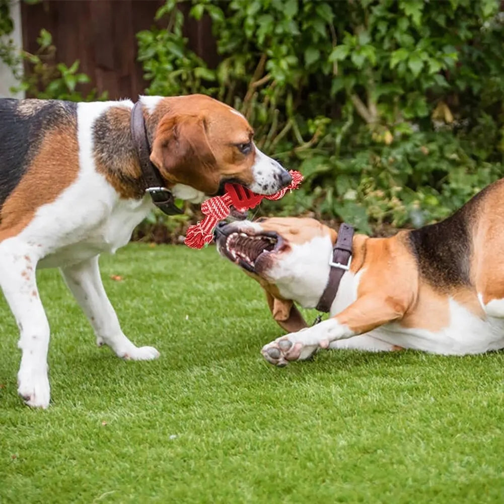 Jouet de corde résistant pour chien