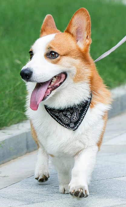 Bandana pour chat ou chien - différentes couleurs et tailles