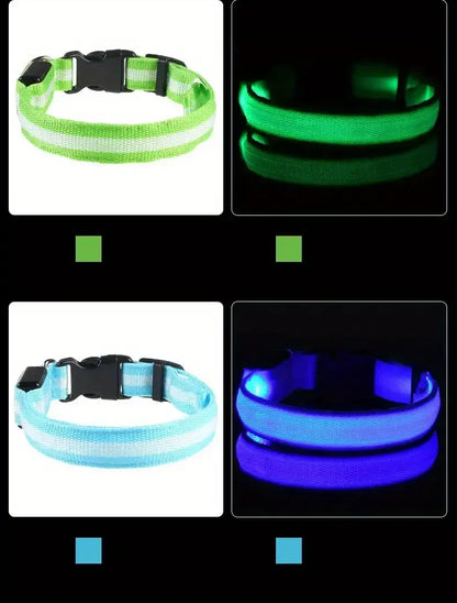 Collier pour chien avec LED