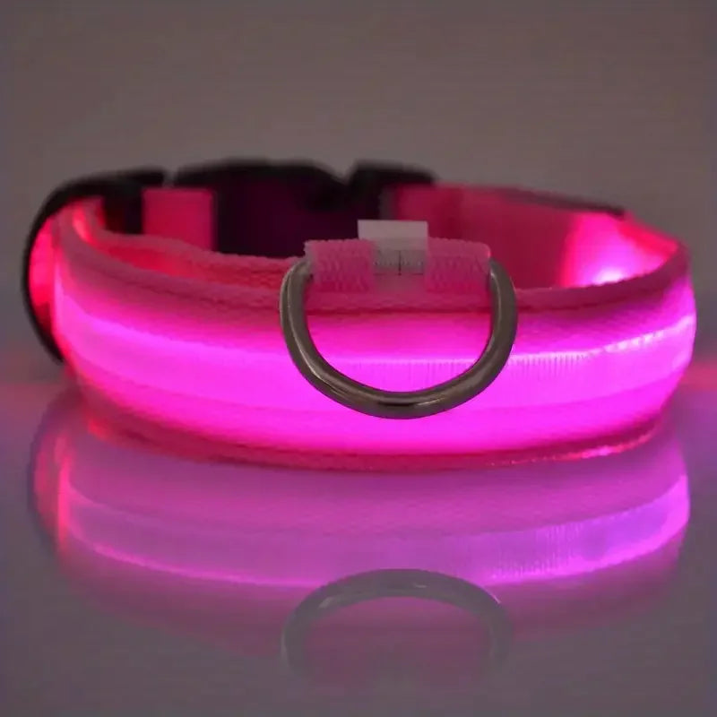 Collier pour chien avec LED