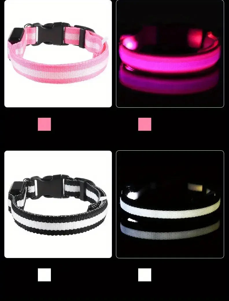 Collier pour chien avec LED