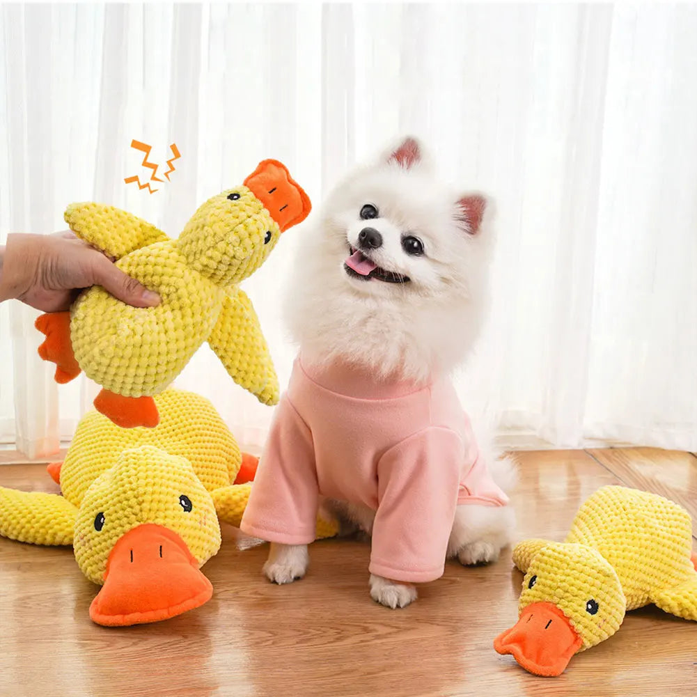 Jouet en peluche sonore en forme de canard pour chien