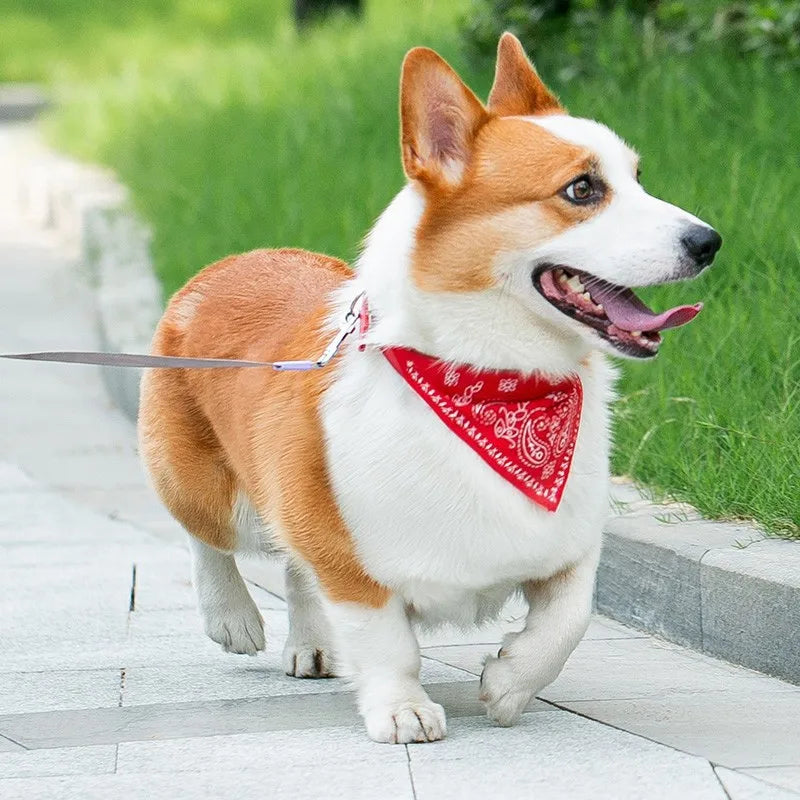 Bandana pour chat ou chien - différentes couleurs et tailles