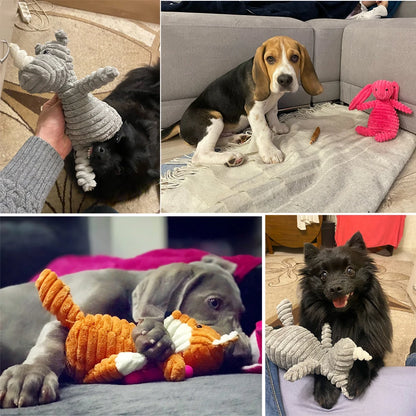 Jouets en peluche en forme d'animaux pour chien