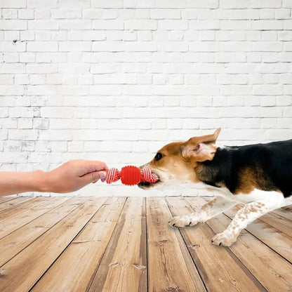 Jouet de corde résistant pour chien