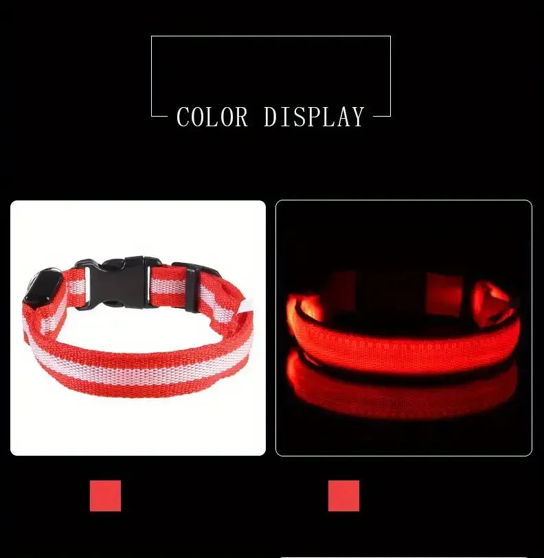 Collier pour chien avec LED