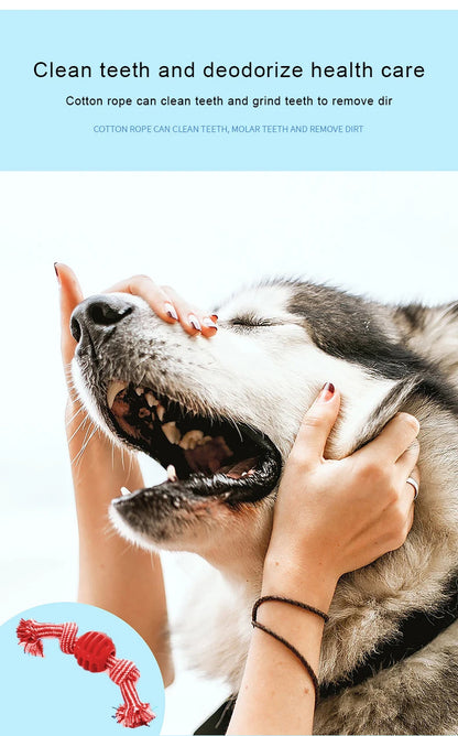 Jouet de corde résistant pour chien