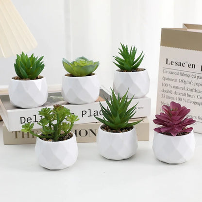 Fausses plantes décoratives - diverses modèles