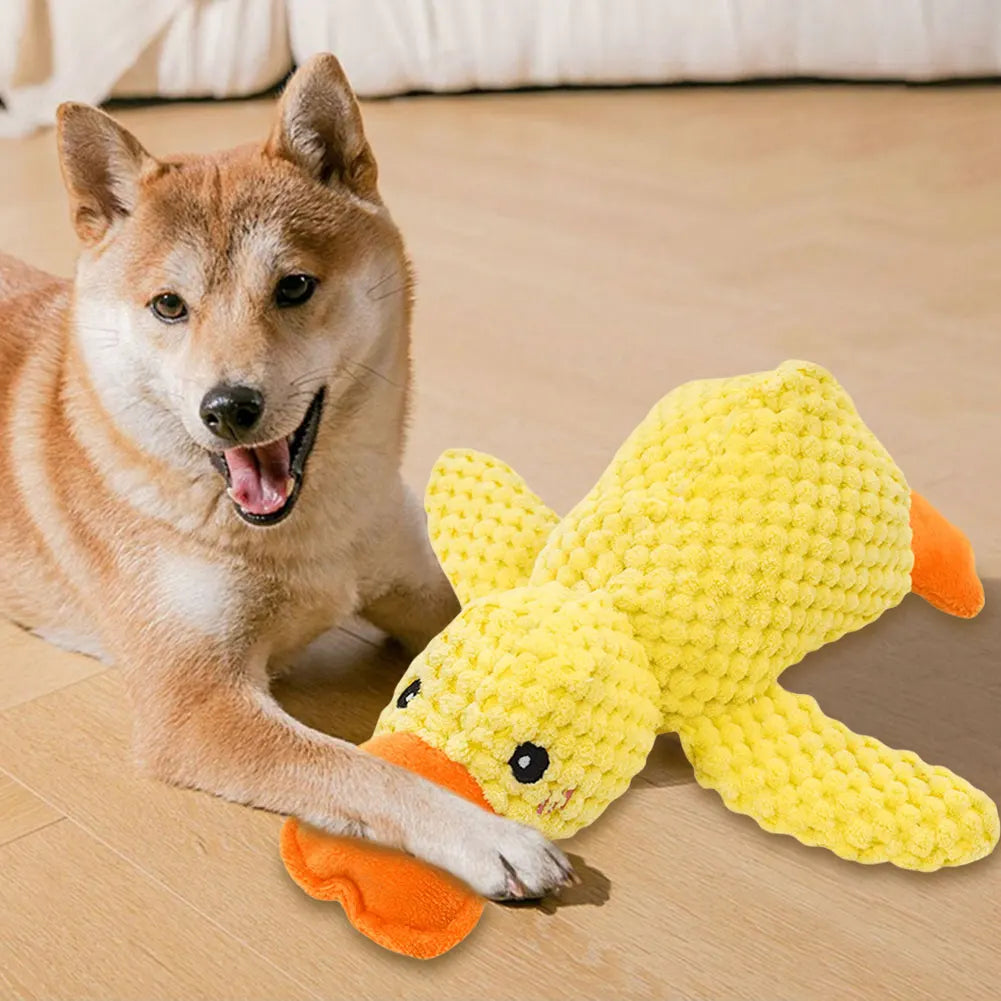 Jouet en peluche sonore en forme de canard pour chien