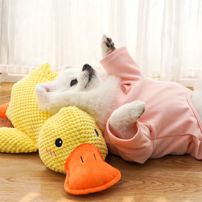 Jouet en peluche sonore en forme de canard pour chien